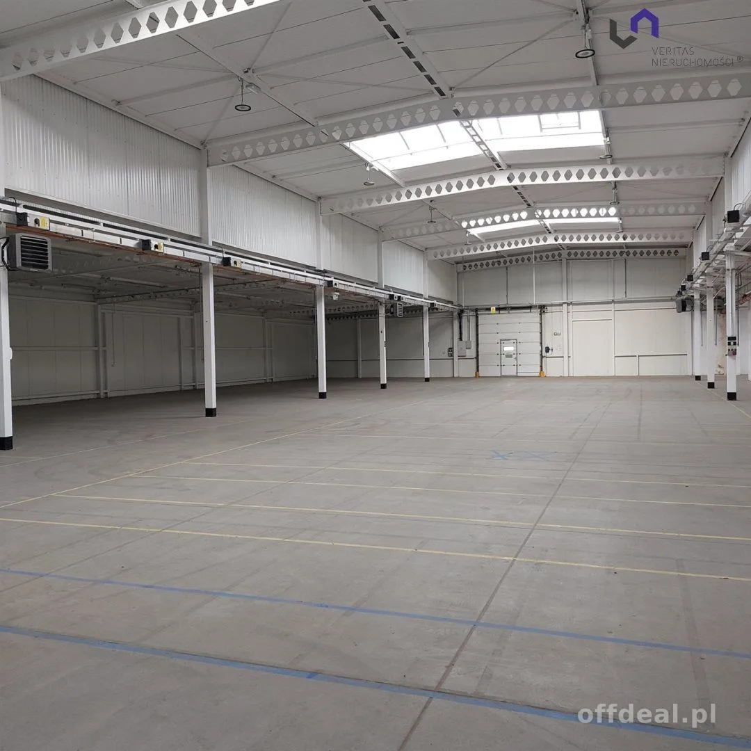 Lokal na wynajem, Katowice
