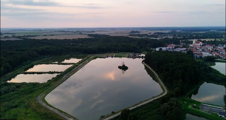 Biznes | łowisko | stawy | smażalnia | agroturystyka | konie | alpaki