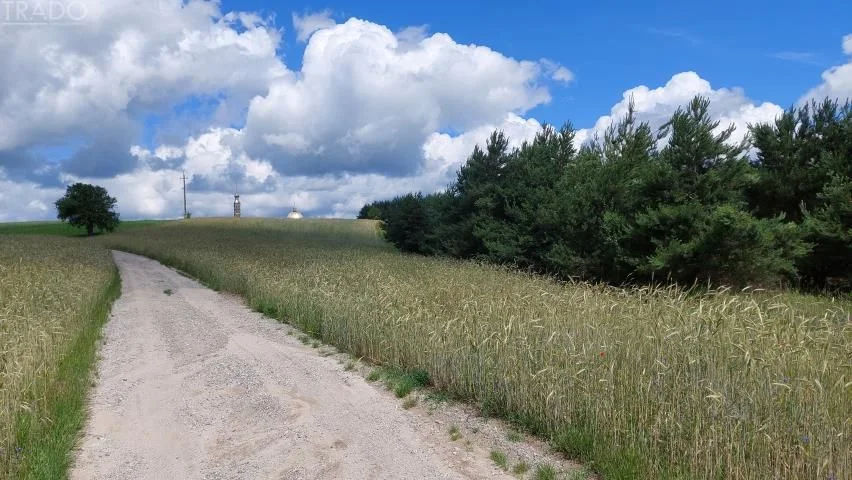Działka budowlana Licheń Stary