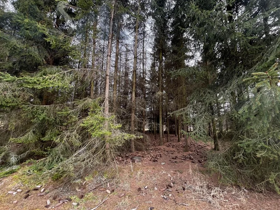 Grundstück zum Verkauf in Gąba | 3.600 m²