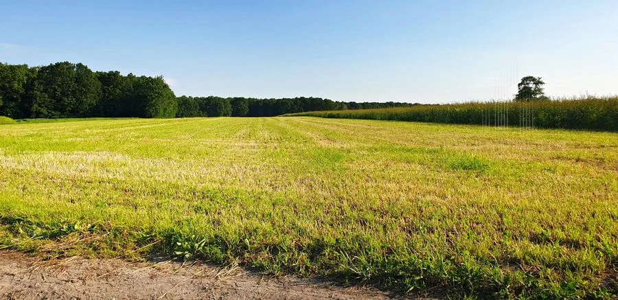 Inwestuj w przyszłość-postaw farmę fotowoltaiczną!