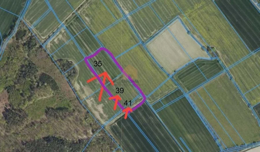 Działka Rolna 4.54ha/Burkatów/Inwestycyjna