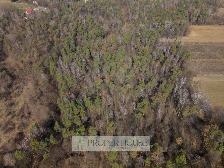 Kazimierski Park Krajobrazowy Piękna działka leśna