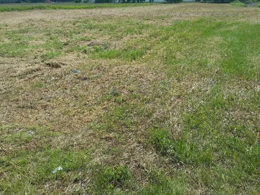 terrain à vendre à Byków | 3 300 m²