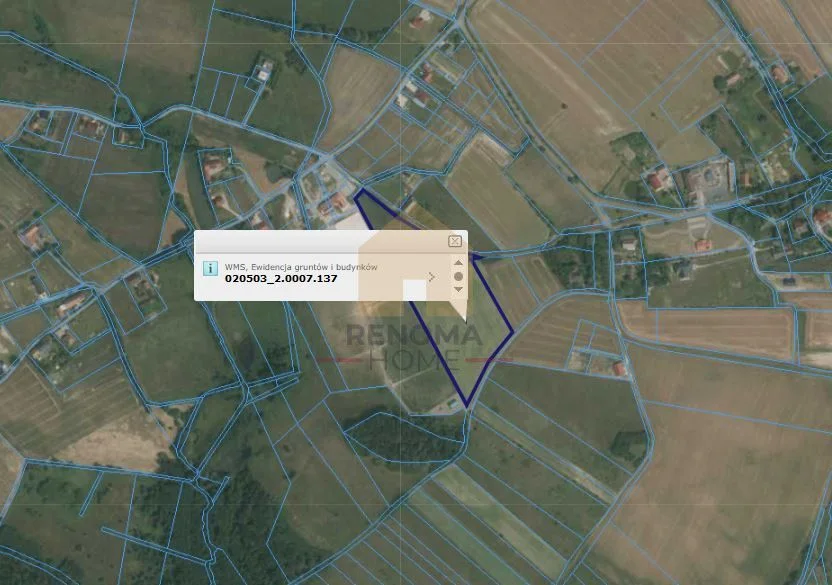 Działka 2,7 ha / Budowlana / Inwestycja / Myślinów