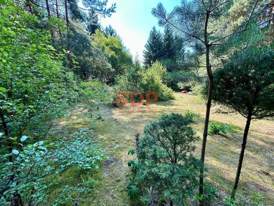 Radachówka | Działka rekreacyjna 961 m² | Las, rzeka, cisza | 30 min od Warszawy
