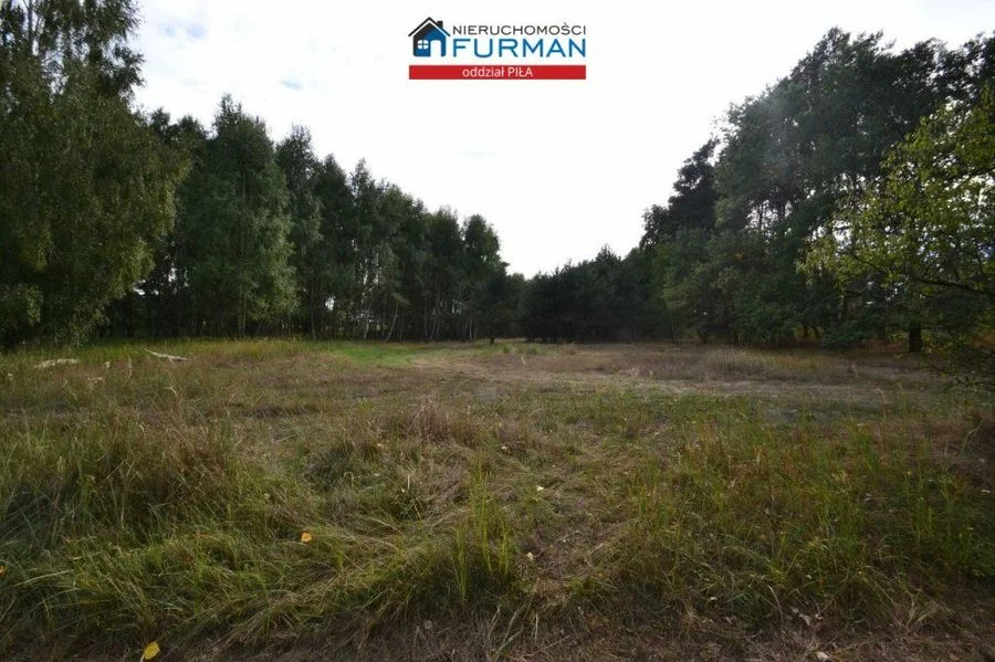 terrain à vendre à Biała | 28 600 m²