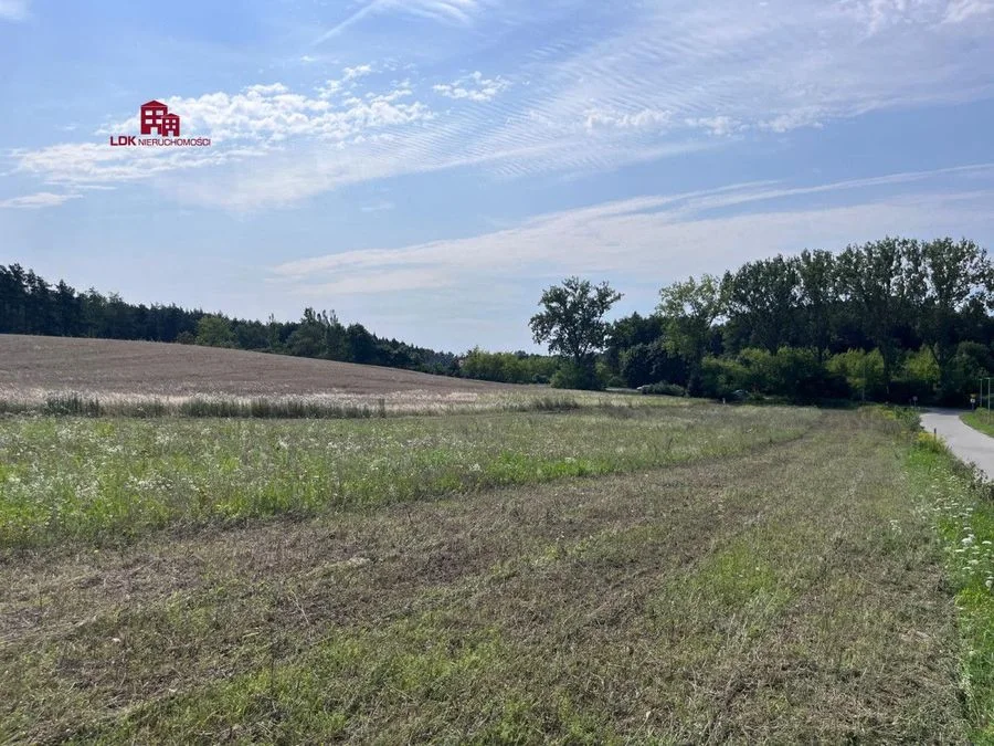 Unikalna działka 4,7 ha | MPZP – zabudowa MN