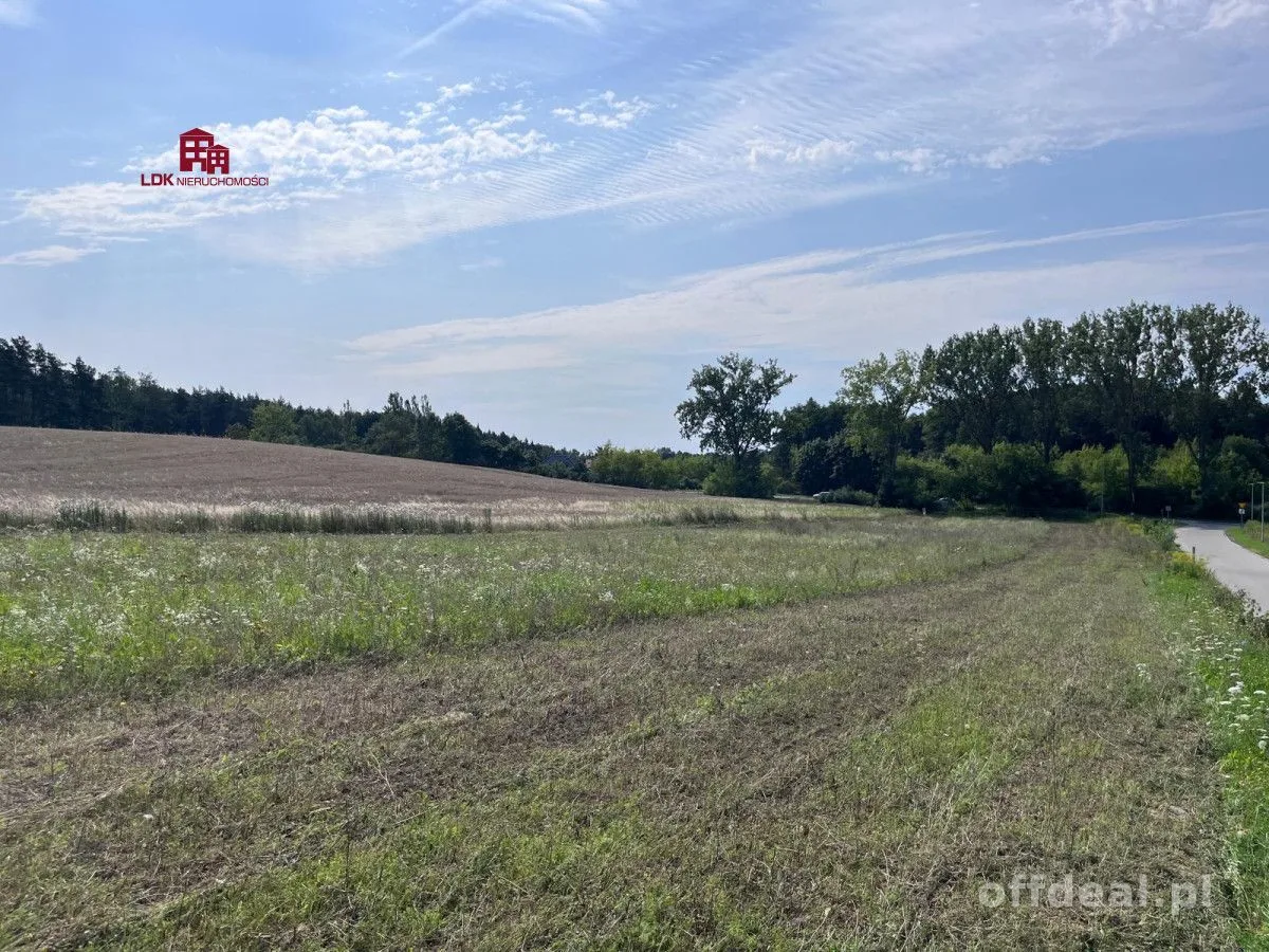 Unikalna działka 4,7 ha | MPZP – zabudowa MN
