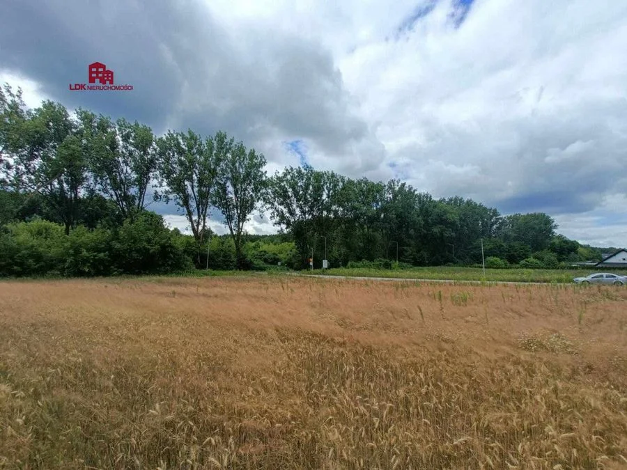Unikalna działka 4,7 ha | MPZP – zabudowa MN