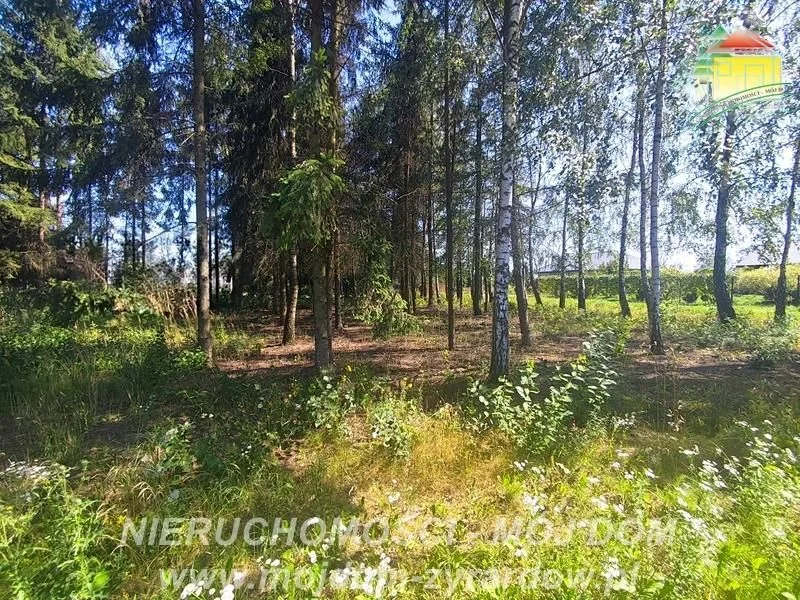 Działka na sprzedaż, Kuranów
