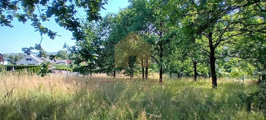 duża działka w centrum.
