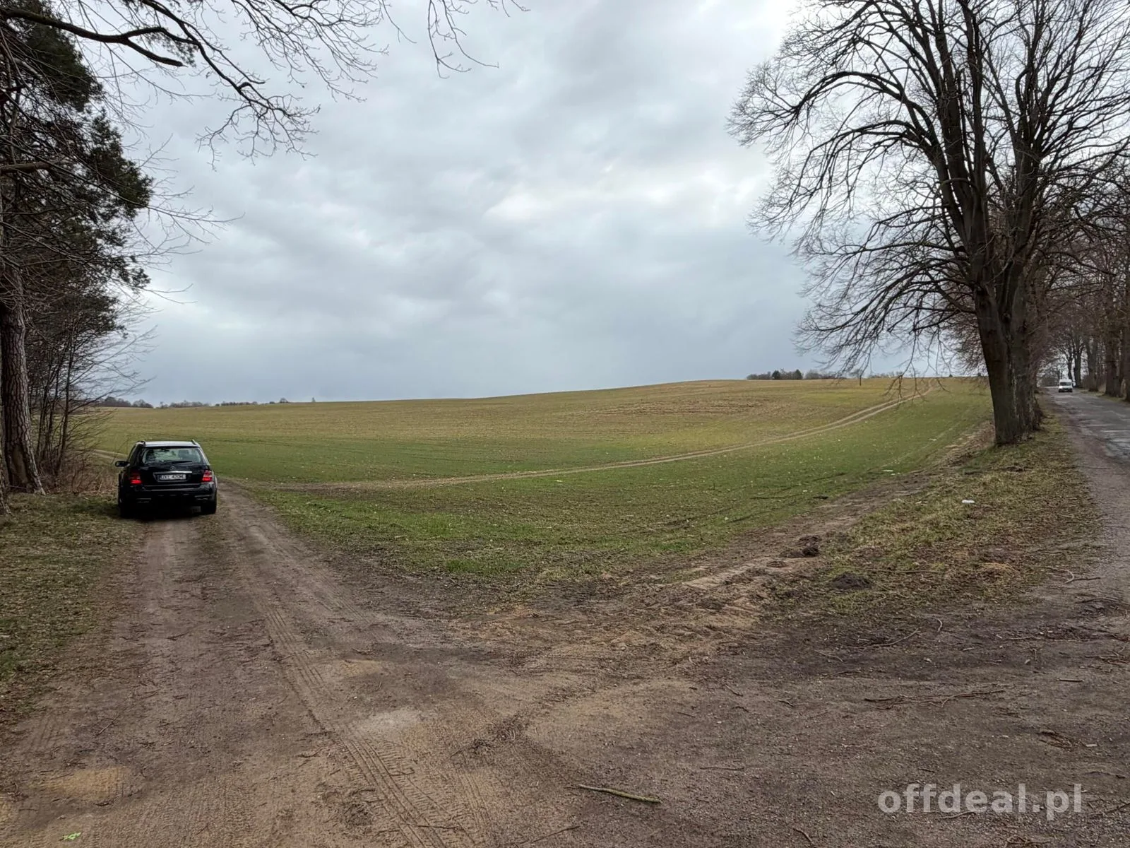 Grundstück zum Verkauf in Białokury | 19.973 m²