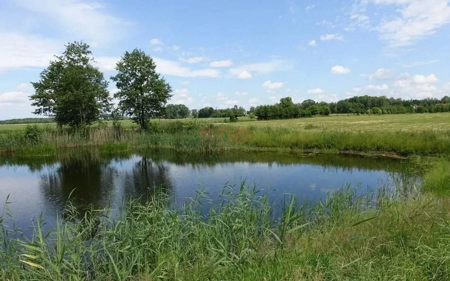 Kal / Jezioro Mamry | 1,42 ha z linią brzegową | działka inwestycyjna