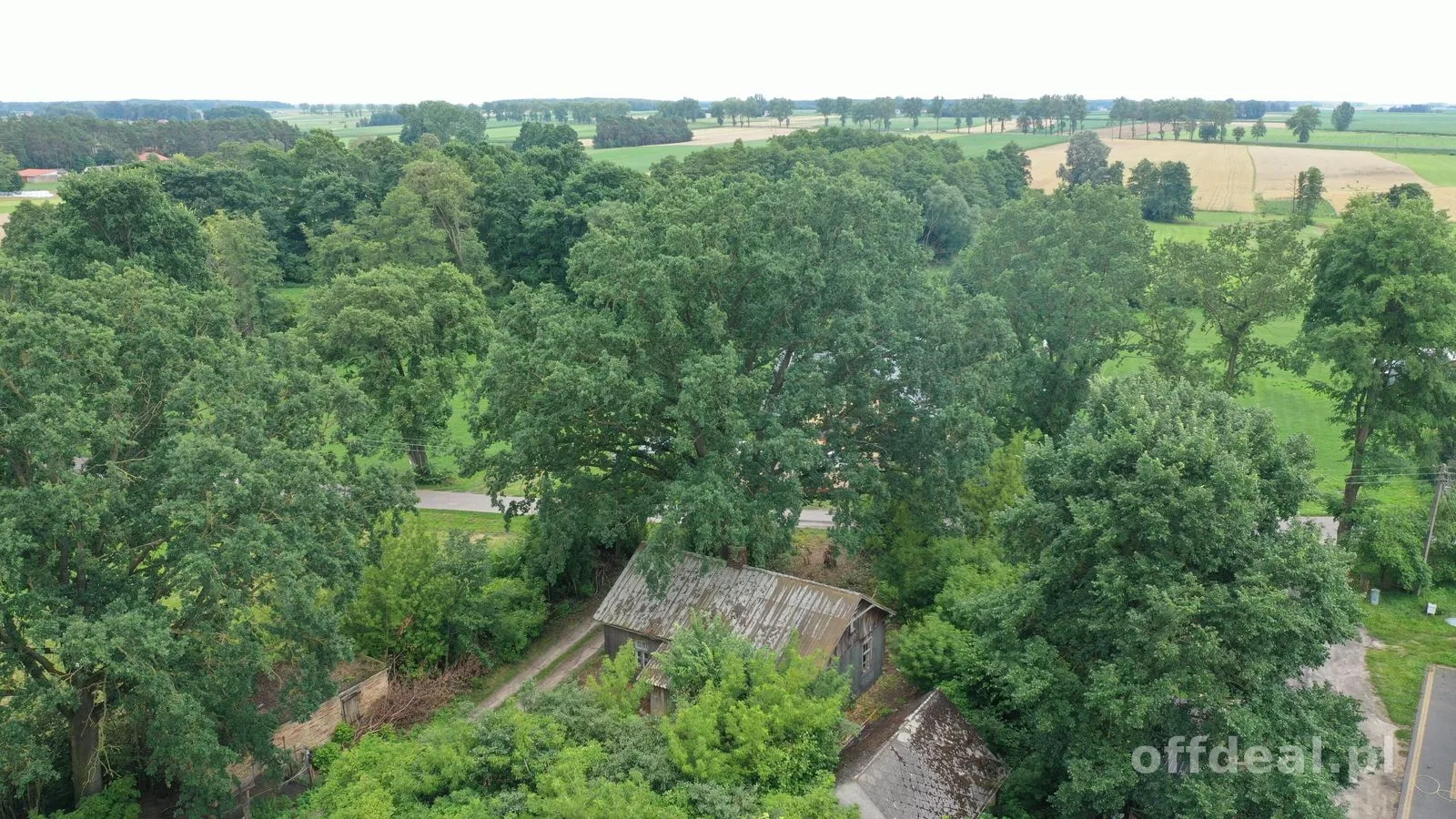 Spokojna wieś, duża działka i nieograniczone możliwości