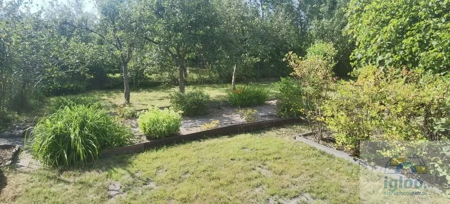 Działka z domkiem ROD Społem, woda i prąd