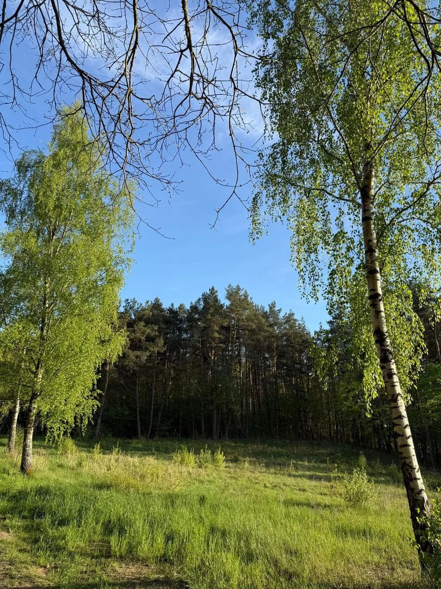 Grundstück zum Verkauf in Nowe Drawsko | 2.367 m²