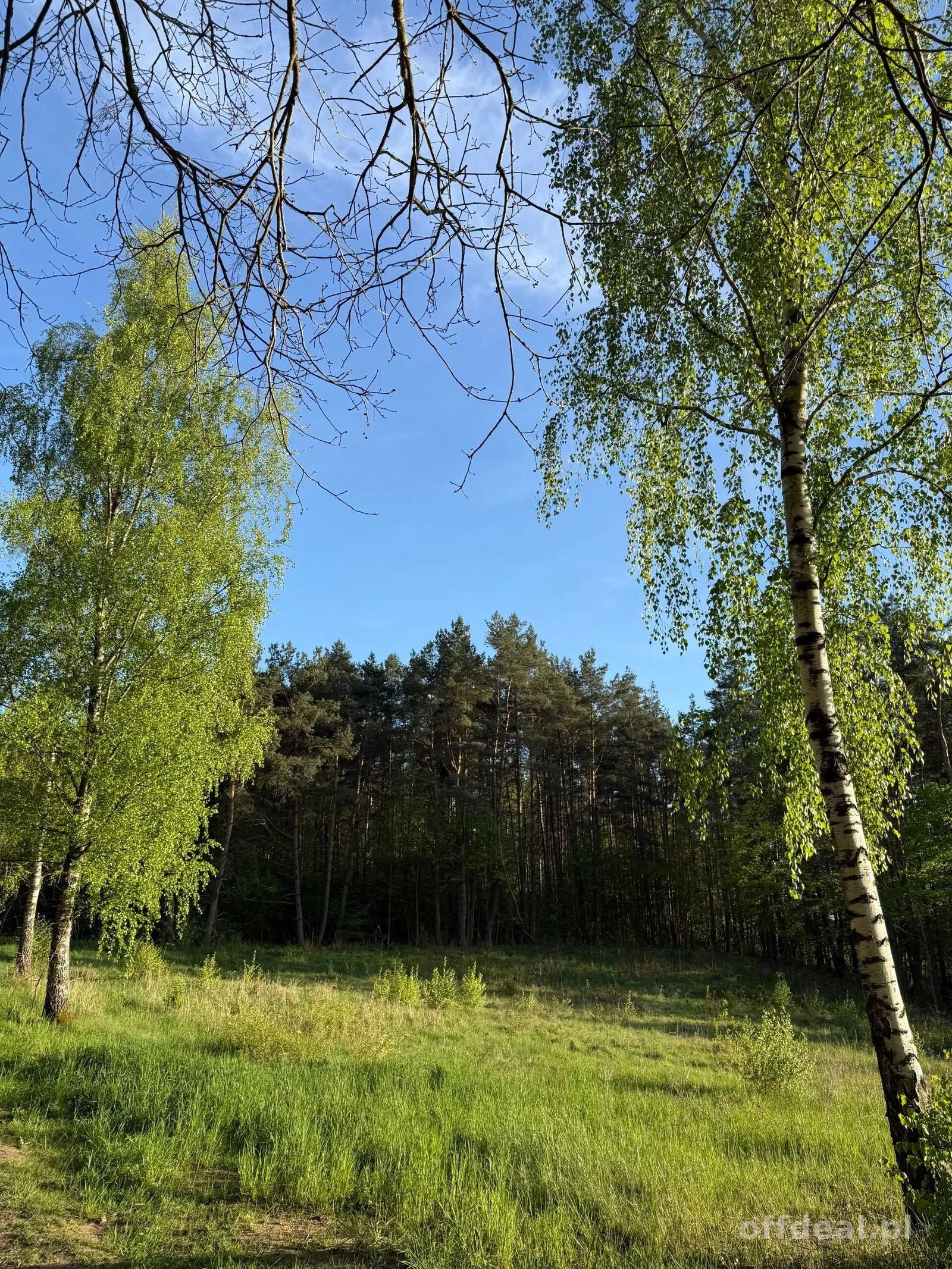Grundstück zum Verkauf in Nowe Drawsko | 2.367 m²