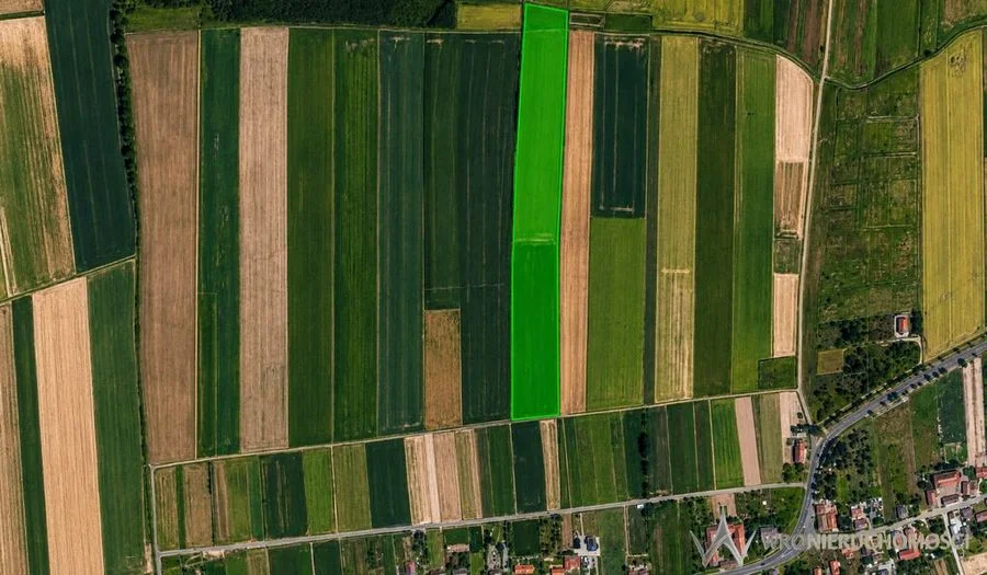 Działki rolne na sprzedaż – Golanka Dolna,